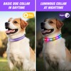 LED Dog Collar, Light Up Dog Collar, USB Rechargeable -