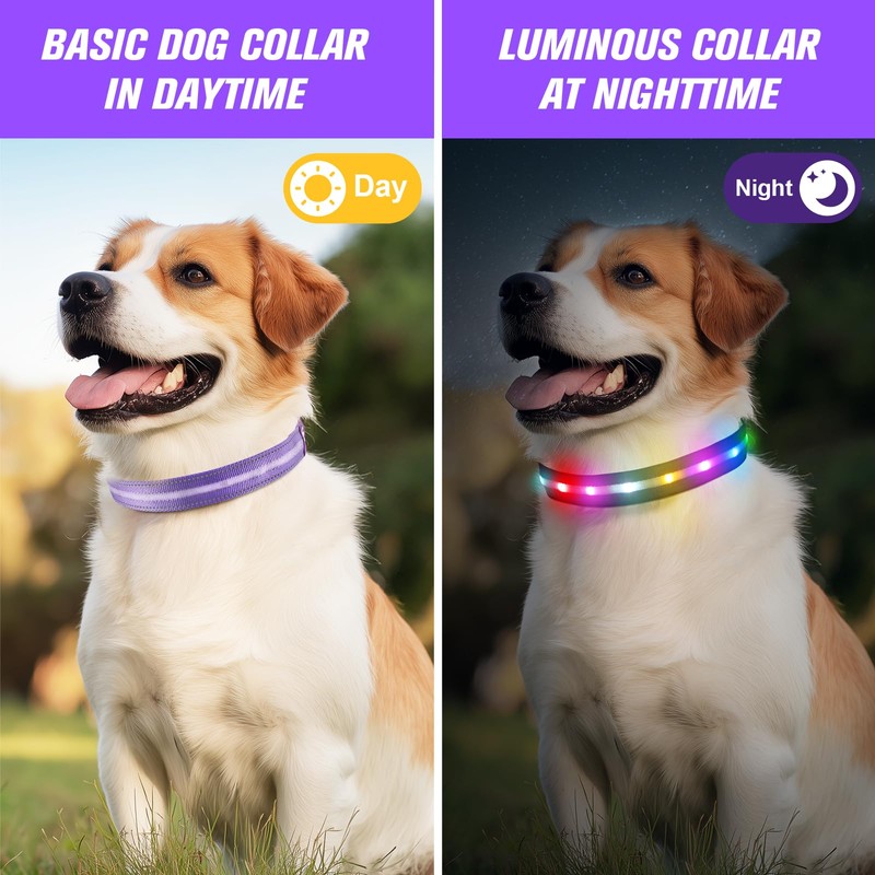 LED Dog Collar, Light Up Dog Collar, USB Rechargeable -