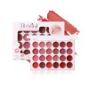Paleta Labiales Mate 24 Tonos Miss Rose M557- 7301-489m-24color