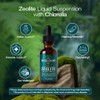 BUCKLEBURY Zeolite Liquid Suspension w/Chlorella - Detox Support, Immune System