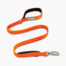 DF Co. Bungee Dog Leash | Strain Free & Shock Resistant for Control | Neoprene Padded Handle, Heavy-Duty Carabiner Clip, and D-Ring | Hi-Vis Orange, Size Small