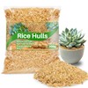 10.58 oz Horticultural Grade Rice Hulls for Plants – Natural