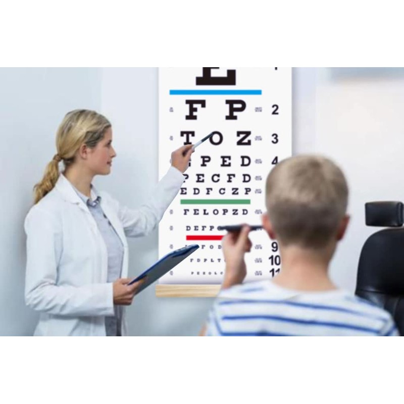 Handheld Eye Occluder with Hand Pointer for Vision Test, Portable