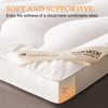 Wool Filling Mattress Topper Queen Size, 2 Inch Extra Soft