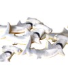 1 Dz. Hammerhead and Great White Shark Cookies! Ocean Themed