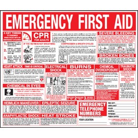 First Aid Wall Chart 22x26