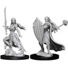 NECA D&d Nolzur's Marvelous Miniatures - Elf Female Wizard