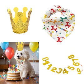 Dog Birthday Boy Bandana - Pet 1st Birthday Party Supplies - Hat Scarf Bowtie Banner Set for Small Medium Dogs (Golden)