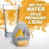 MiO Mango Peach Liquid Water Enhancer, 48mL/1.6oz, Imported from Canada}