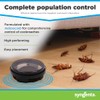 Advion Cockraoch Bait Arena 12ct (2 Pack)