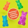 Spunky pup Spunky Bear Interactive Squeaky Dog Toys - Gummy