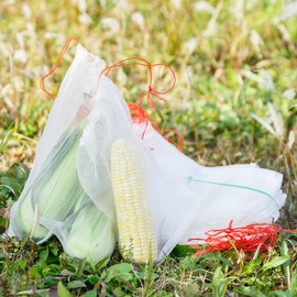 AKOAK 20 Count Insects Mosquito Bug Nets Barrier Bags Garden Plant Fruit Flower Protect Bags Garden Netting Bags for Protecting Your Plant Fruits Flowers(5.9" x 9.8" /15cm x 25cm)