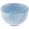 Mino Ware Sencha Set of 5 Hanashizuku 569-31-32E(5)