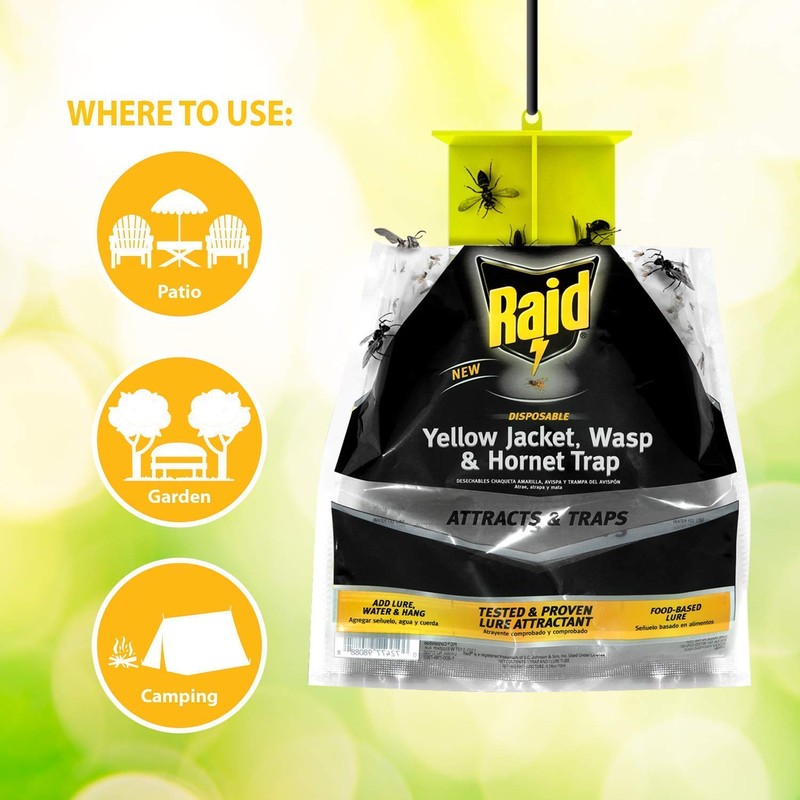 Raid Yellow Jacket and Wasp Trap (3-Pack) – Outdoor Disposable