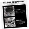 CAXUSD Skull Shaped Planter Pot Holder for Cacti Dried Flowers