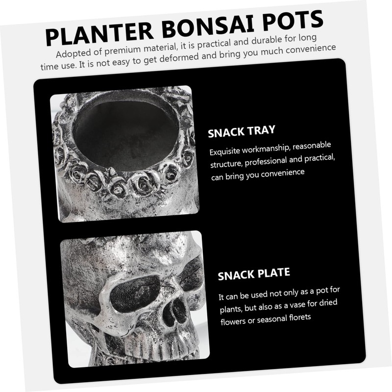 CAXUSD Skull Shaped Planter Pot Holder for Cacti Dried Flowers