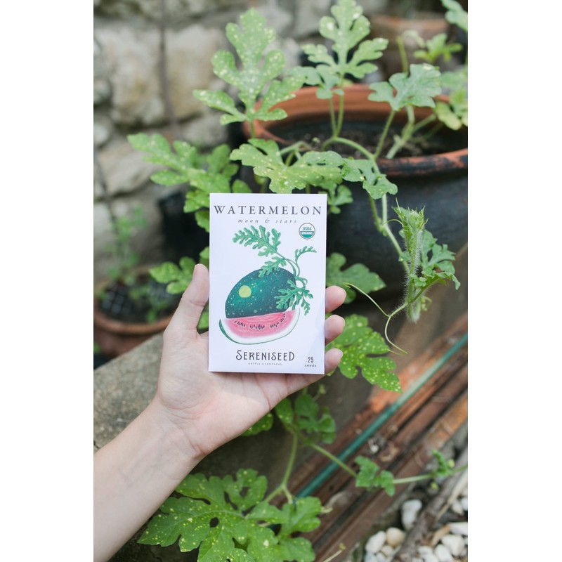 Sereniseed Certified Organic Vegetable Seed Collection (20-Pack) – 100% Non