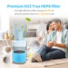 2 Pack 211i Max Replacement Fil-ter Compatible with Blue Pure