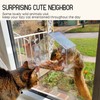 Mrcrafts Window Bird Feeder for Outside with Strong Suction Cups,