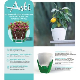 Santino ASTI Set of 3 18 cm Self-Watering Flower Pots with Water Level Indicator for Plants, Flowers, Herbs (Diameter 18 cm, Height 14 cm, 2.5 Litres, Anthracite/White)