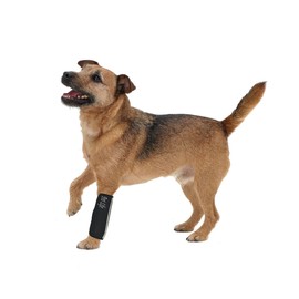 Pet Life ® Extreme-Neoprene Reflective and Joint Protective Dog Sleeves - Pet Joint Sleeves with Hook-and-Loop Enclosures - First Aid Dog Bandages for less stress on dog joints, great for dog recovery