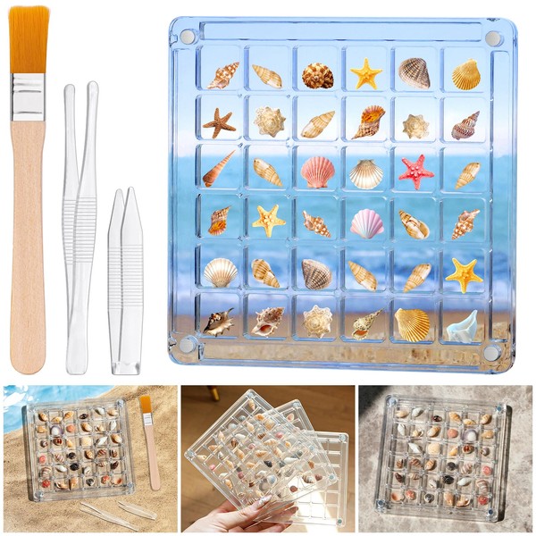 Acrylic Magnetic Seashell Display Box - 36 Grids Transparent Shell