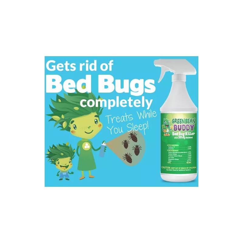 Green Bean Buddy Non-Toxic Carpet Stain Cleaner, Spoterizer 1 Gallon