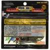 Eco Gear Aged Aqua Active Asiatic Straight, 2.3 inches, Large