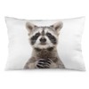 NIBABA Cushion Covers Cute Cute Funny Raccoon Decorative Pillow Covers