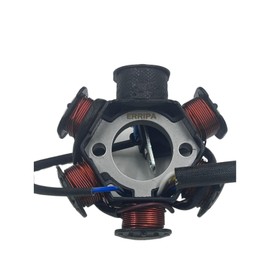 ERRIPA GY6 Stator Magneto 6 Coil 5 Wire for 50cc 70cc 90cc 110cc 125cc Chinese ATVs Dirt Bikes Pit Bikes Scooters Compatible with Coolster Max Trade Roket Sunl Tank JCL Lance Znen Jonway