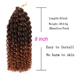 9Bundles/Lot Passion Twist Hair Marlybob Crochet Braids Hair Kinky Curly Crochet Hair Marly Twist Crochet Hair Short Crochet Hair Extensions for Black Women (8Inchs(9bundles), #1B-30)