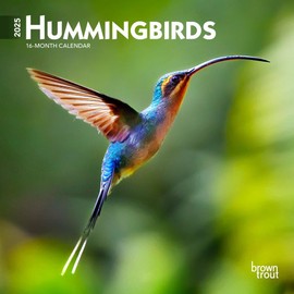 Hummingbirds | 2025 7 x 14 Inch Monthly Mini Wall Calendar | BrownTrout | Animals Wildlife Nature