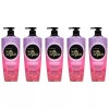 Elastine 엘라스틴 실크리페어 샴푸 체리블라섬향, 550ml, 5개 Elastin Silk Repair