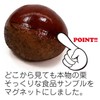 Food Sample Magnet, Likely to Eat, Chestnut, 132.8 ft (335