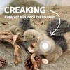 ALL FOR PAWS Interactive Dog Squirrel Plush Squeaky Toy -