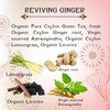 TERAPY Ceylon Ginger and Honey Tea - 100% Natural Ayurvedic
