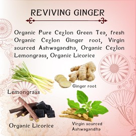TERAPY Ceylon Ginger and Honey Tea - 100% Natural Ayurvedic Ingredients, Including Organic Ginger, Wild Bee’s Honey, Ashwagandha & Lemongrass, Organic Herbal Ginger Tea with Honey, 20 Bags