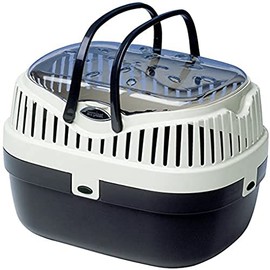 fa-purasuto aradyino Medium