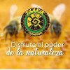 Chamantra Anestesia Para Tatuaje Y Balsamo De Curacion Kit