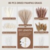 80PCS Mixed Dried Pampas Grass – Boho Vase Decor with