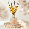 Cocorrína Reed Diffuser - Warm Vanilla Scented Diffuser with 8