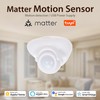 PHOVOLT Matte Motion Sensor, Intelligent Motion Sensor for Home Security,