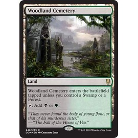 Woodland Cemetery - Foil - Dominaria