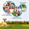 Collar de corteza de perro -7 Sensibilidad ajustable y niveles