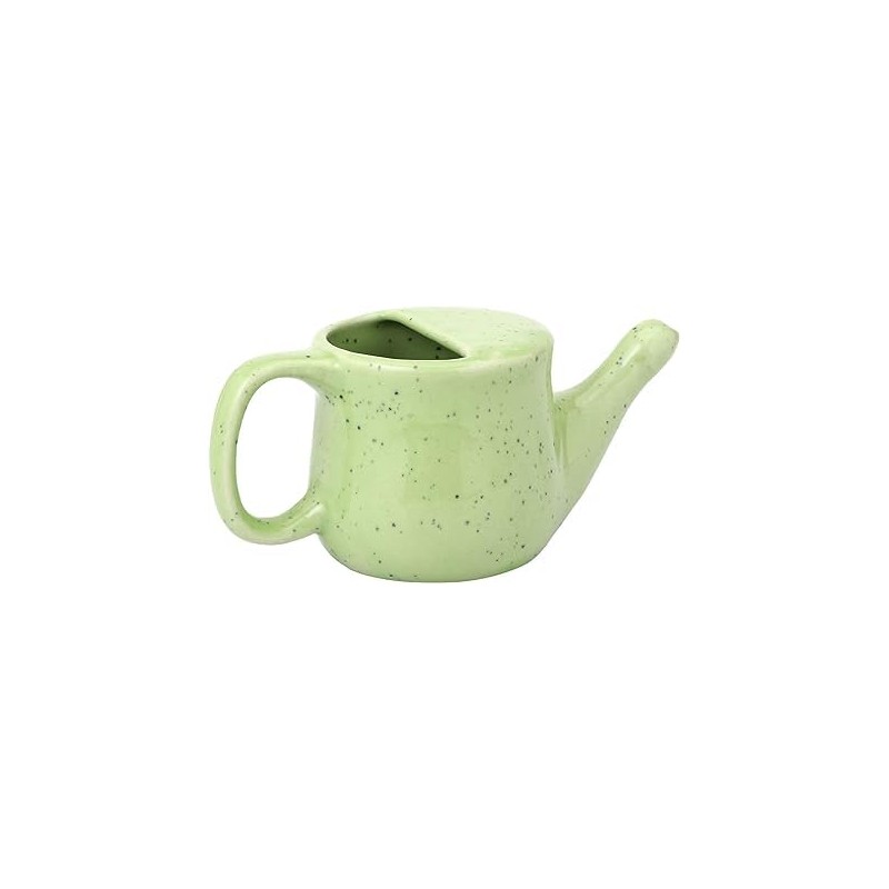 Anicent Impex Ceramic Neti Pot, Spill Proof with 5 Sachets
