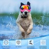 Large Dog Sunglasses Dog Goggles Pet Glasses Pet Eyewear with