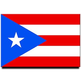Puerto Rico Flag Fridge Magnet San Juan Travel Souvenir