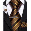 Barry.Wang Men Tie Gold Black Stripes Silk Ties Pocket Sqaure