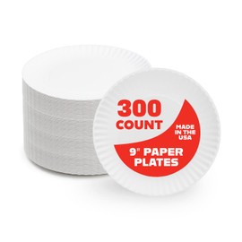 Hygloss Hygloss Products 9" Uncoated White Paper Plates Bulk, 9 Inch, 300 pack, Disposable Plates For Food, Dessert Or Crafts