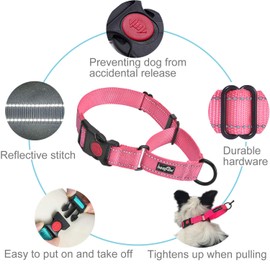 haapaw 2 Packs Martingale Dog Collar with Quick Release Buckle Reflective Dog Training Collars for Small Medium Large Dogs